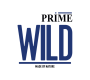 Prime Wild